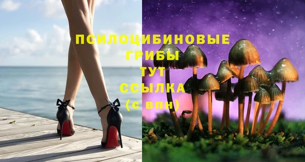 ALPHA PVP Арсеньев